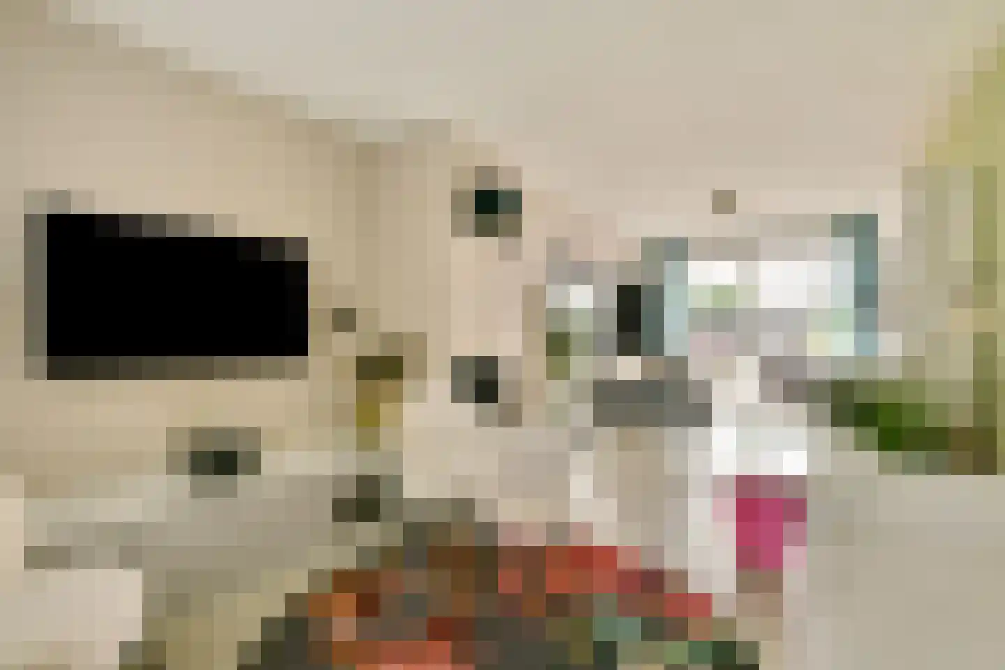 Fideliolaan 5 Amstelveen thumbnail 4
