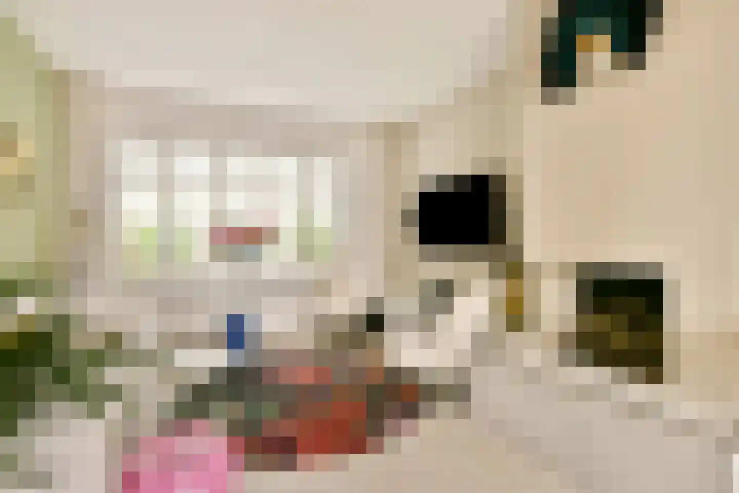 Fideliolaan 5 Amstelveen thumbnail 5