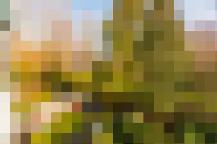 Fideliolaan 52 Amstelveen thumbnail 10