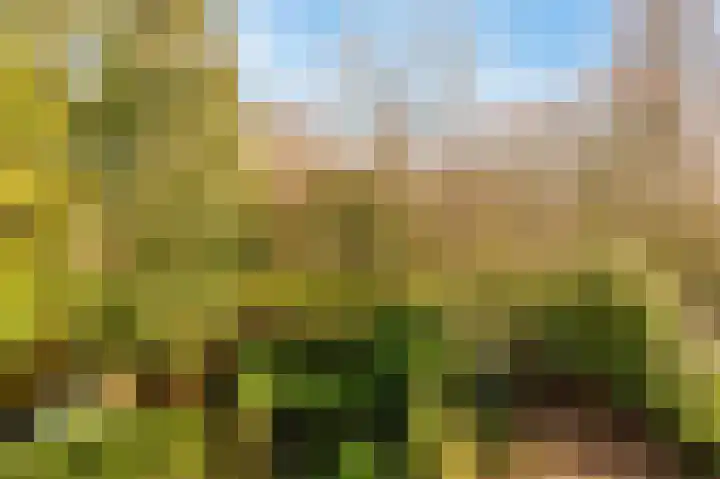 Fideliolaan 52 Amstelveen thumbnail 11