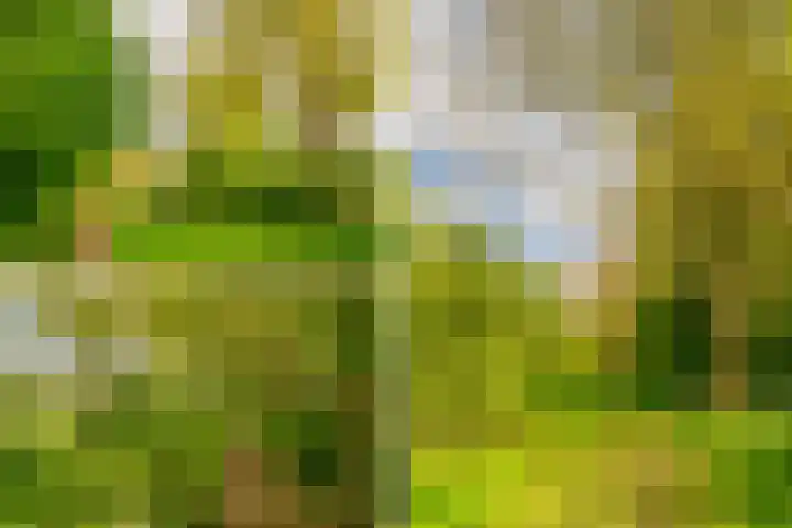 Fideliolaan 52 Amstelveen thumbnail 31