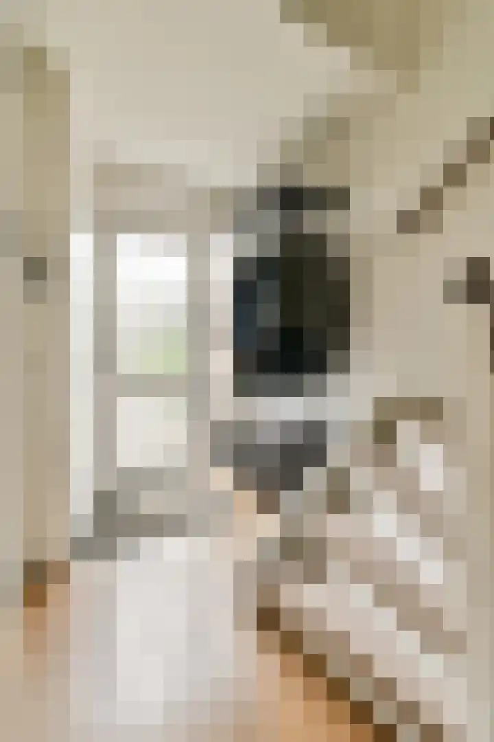 Fideliolaan 55 Amstelveen thumbnail 6
