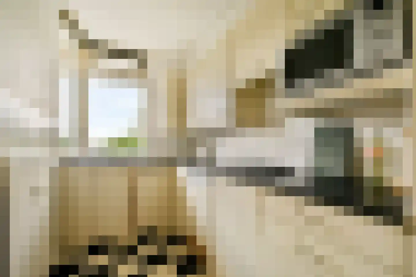 Fideliolaan 66 Amstelveen thumbnail 11