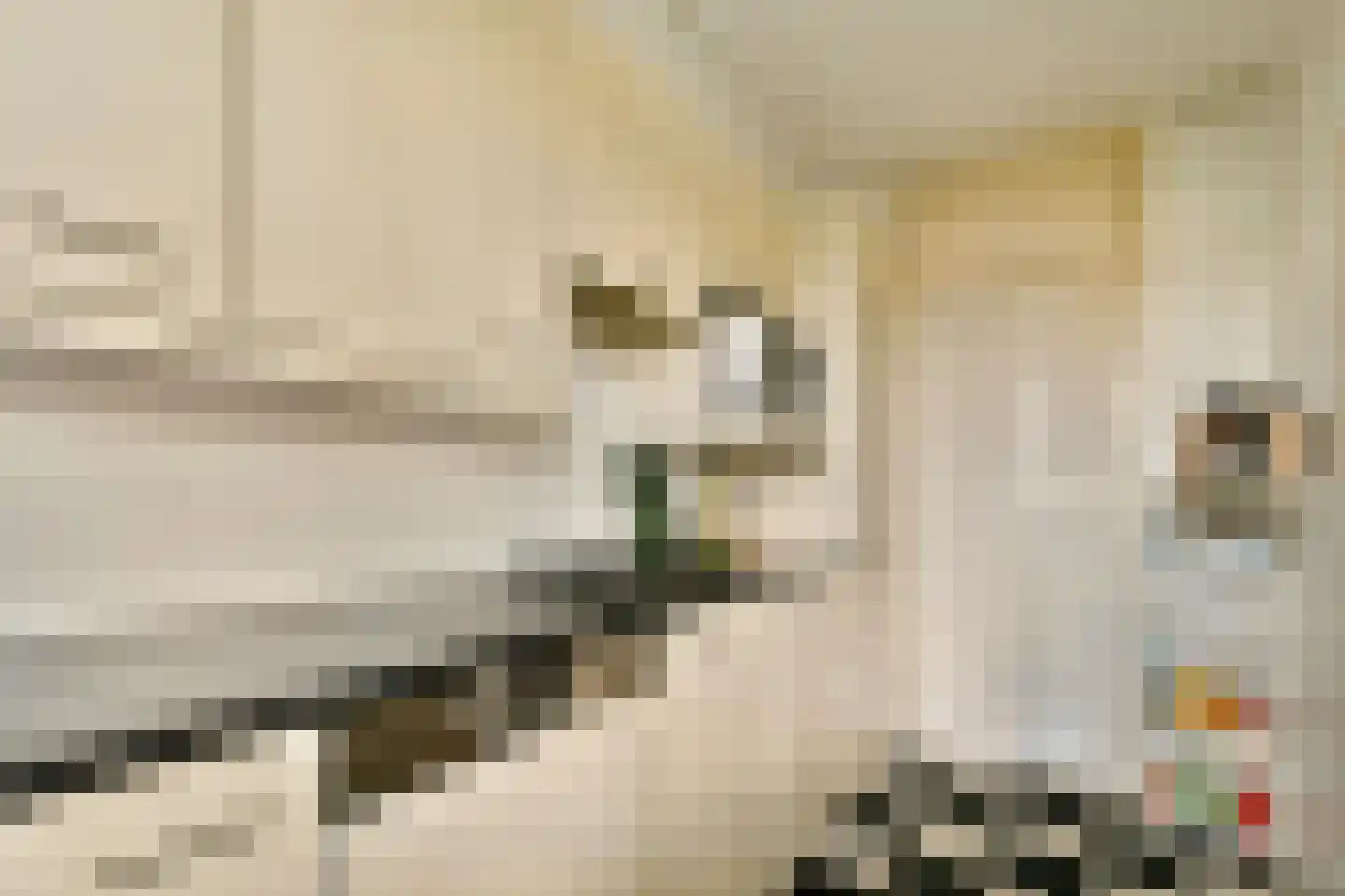 Fideliolaan 66 Amstelveen thumbnail 12