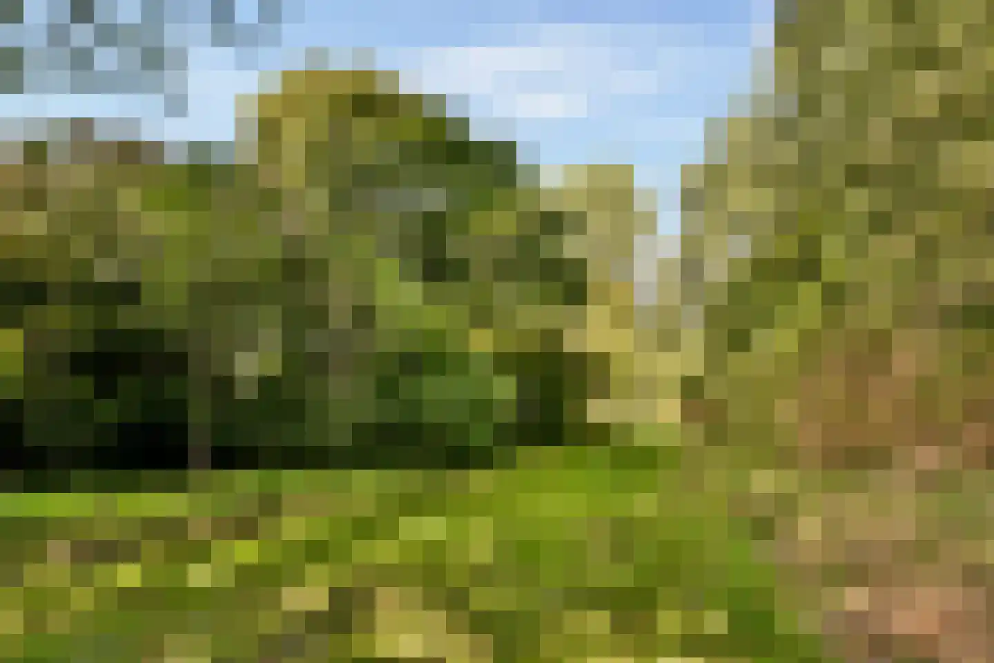 Fideliolaan 66 Amstelveen thumbnail 21