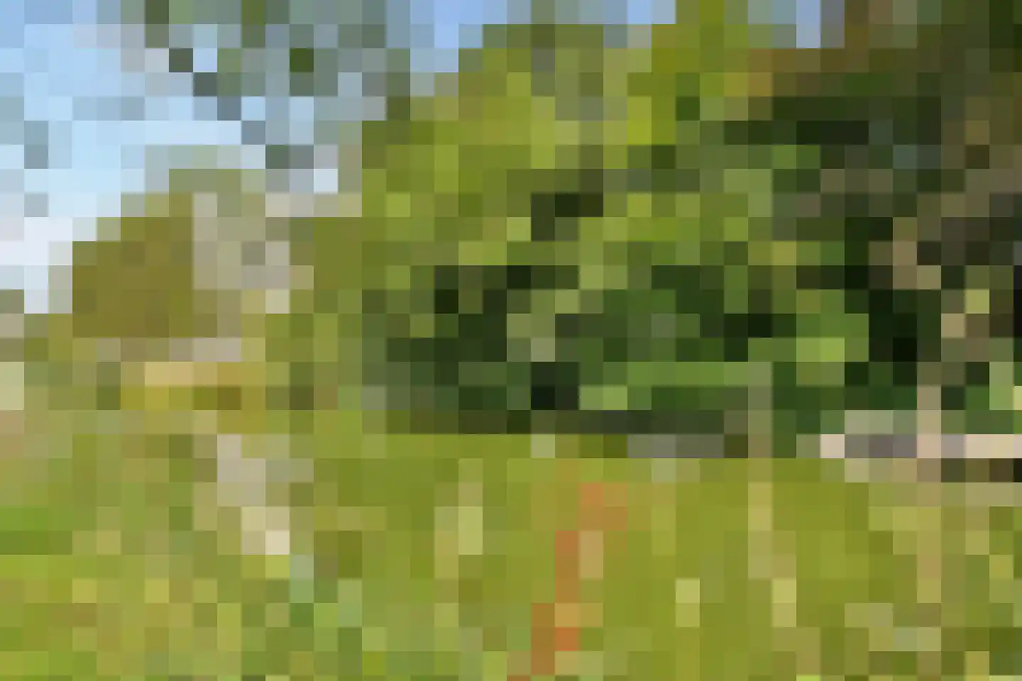 Fideliolaan 66 Amstelveen thumbnail 23