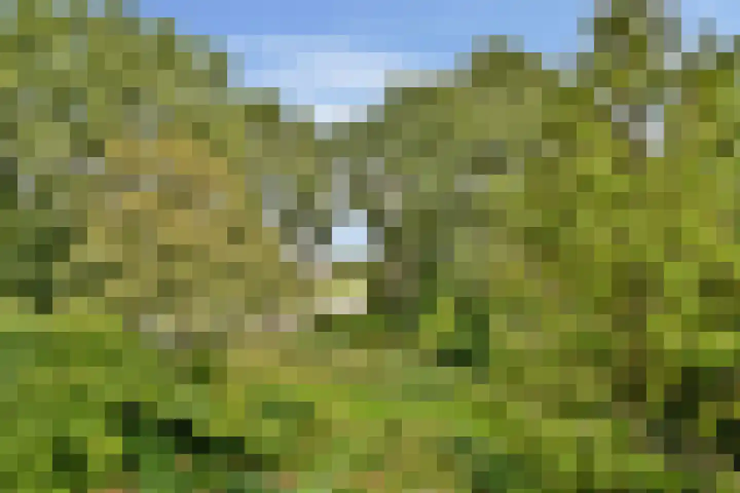 Fideliolaan 66 Amstelveen thumbnail 9
