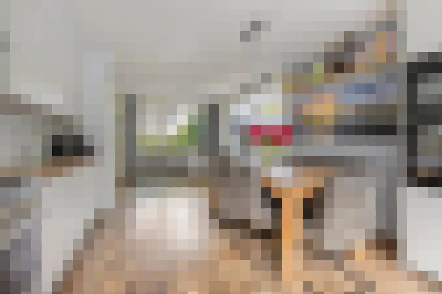 Fideliolaan 81 Amstelveen thumbnail 11