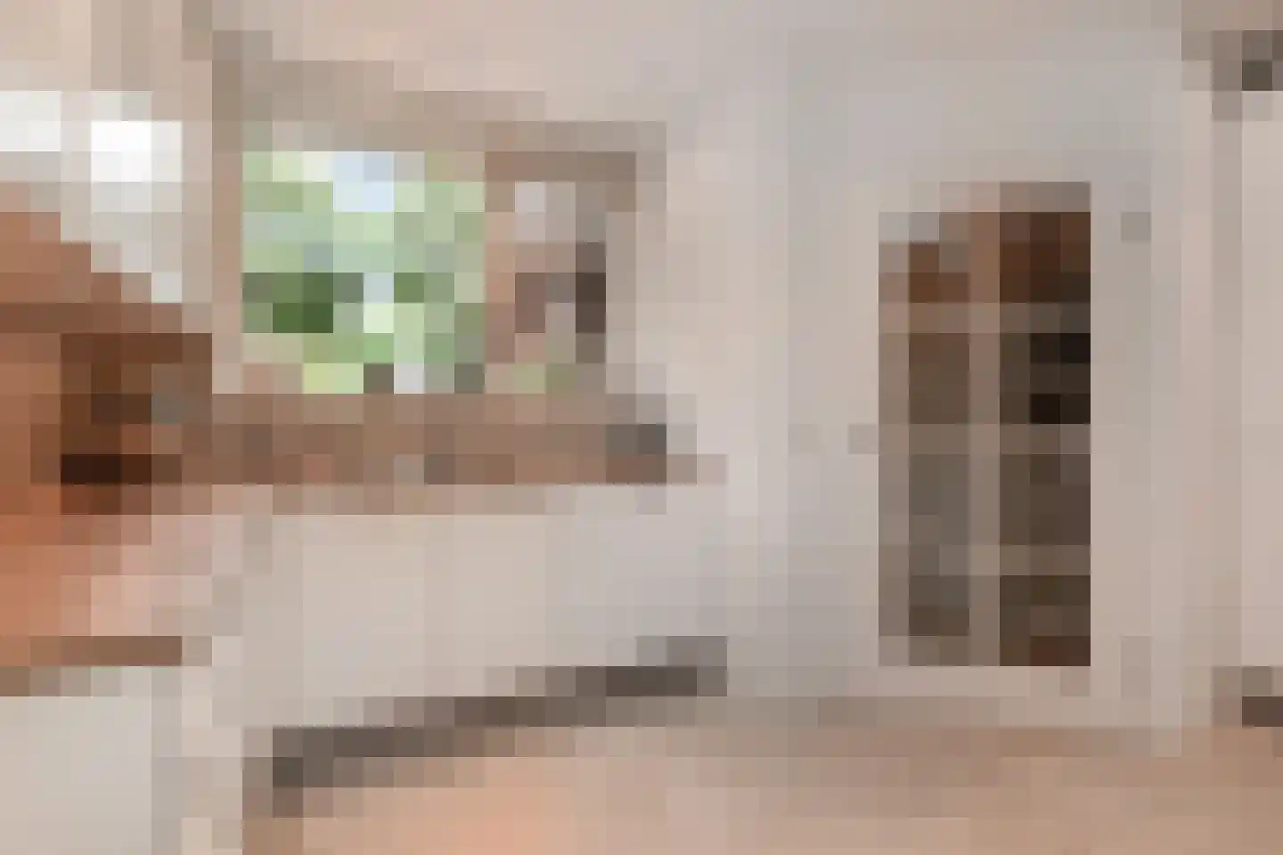 Fidelioschouw 13 Zoetermeer thumbnail 10