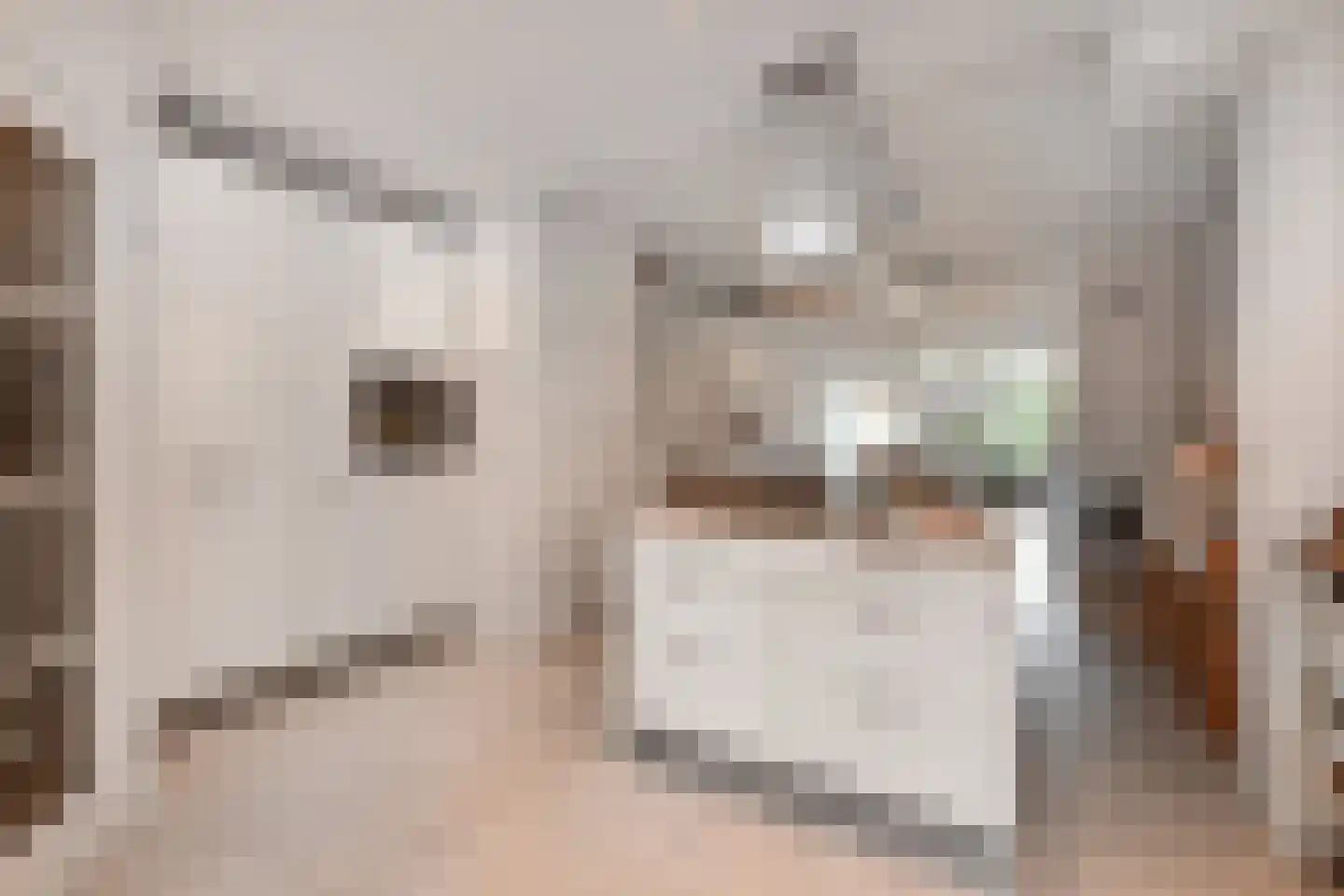 Fidelioschouw 13 Zoetermeer thumbnail 13