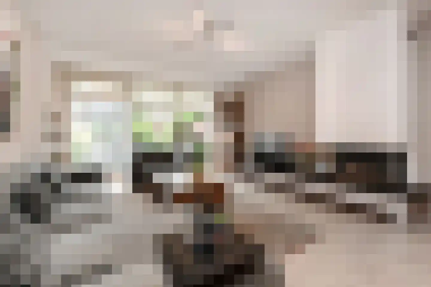 Fidelioschouw 13 Zoetermeer thumbnail 17