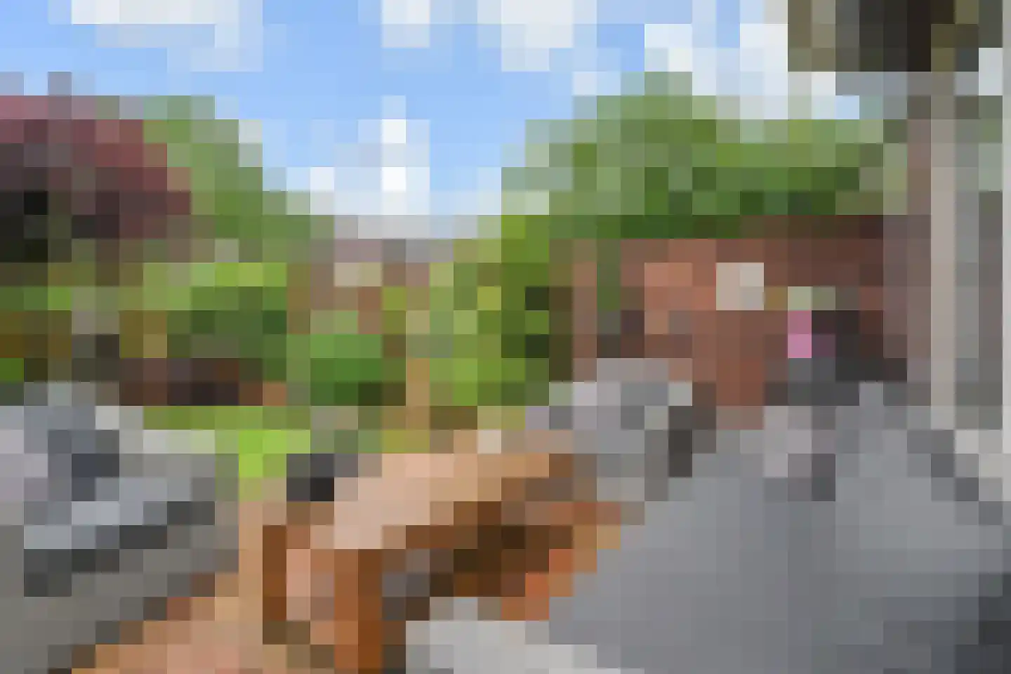 Fidelioschouw 13 Zoetermeer thumbnail 22