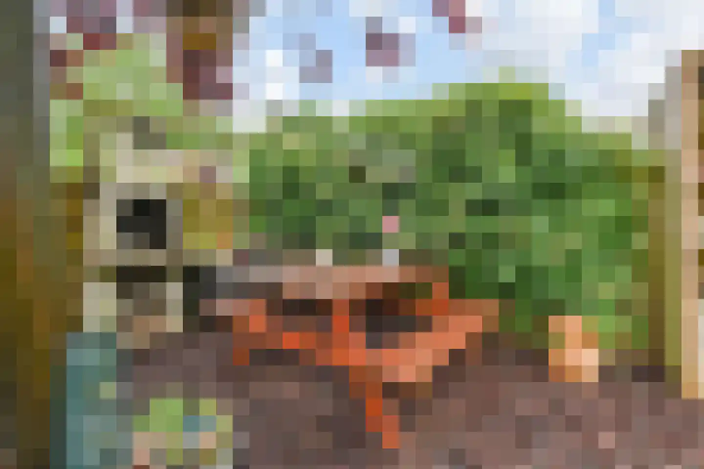 Fidelioschouw 13 Zoetermeer thumbnail 23