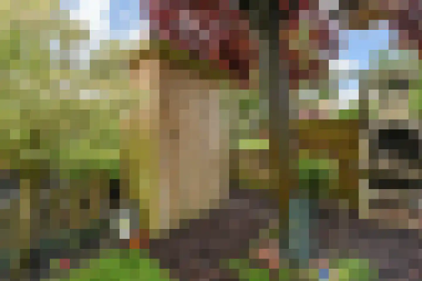 Fidelioschouw 13 Zoetermeer thumbnail 24