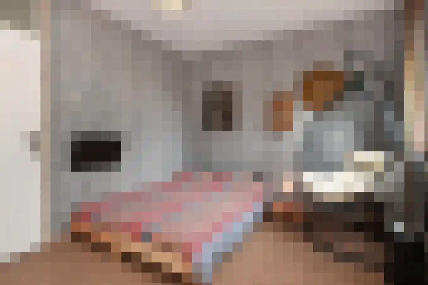 Fidelioschouw 13 Zoetermeer thumbnail 38