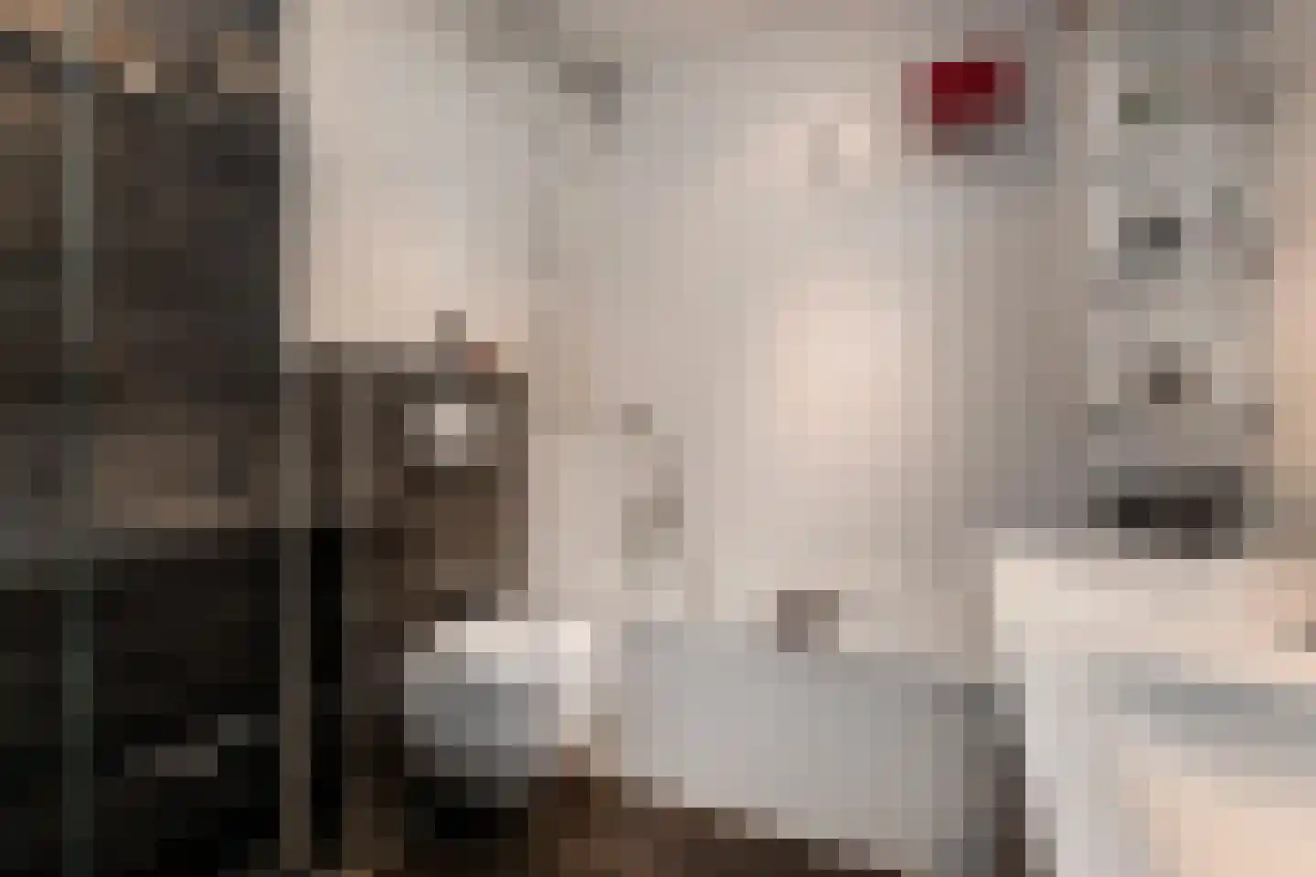 Fidelioschouw 13 Zoetermeer thumbnail 39