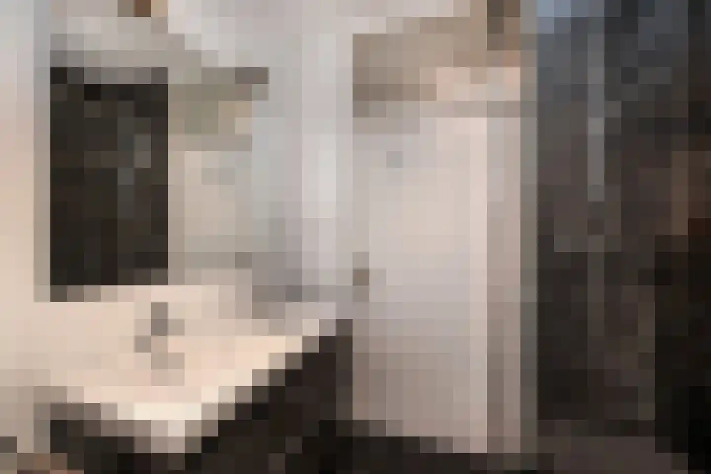 Fidelioschouw 13 Zoetermeer thumbnail 4