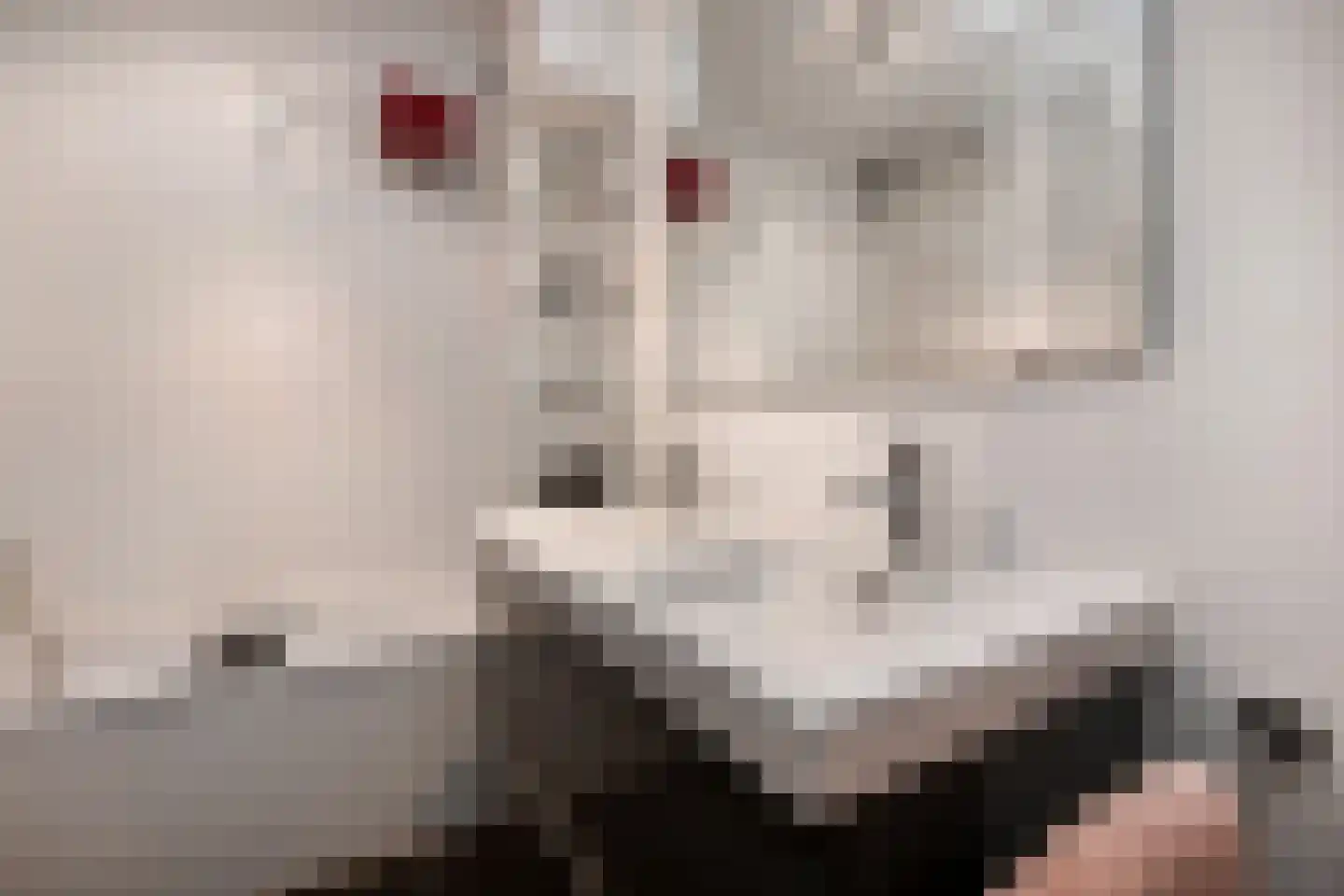 Fidelioschouw 13 Zoetermeer thumbnail 40