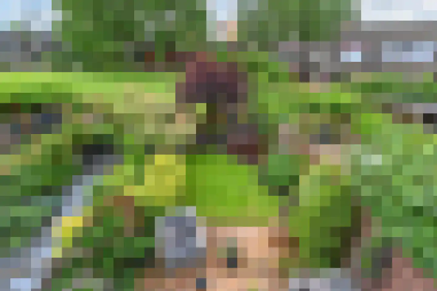 Fidelioschouw 13 Zoetermeer thumbnail 46