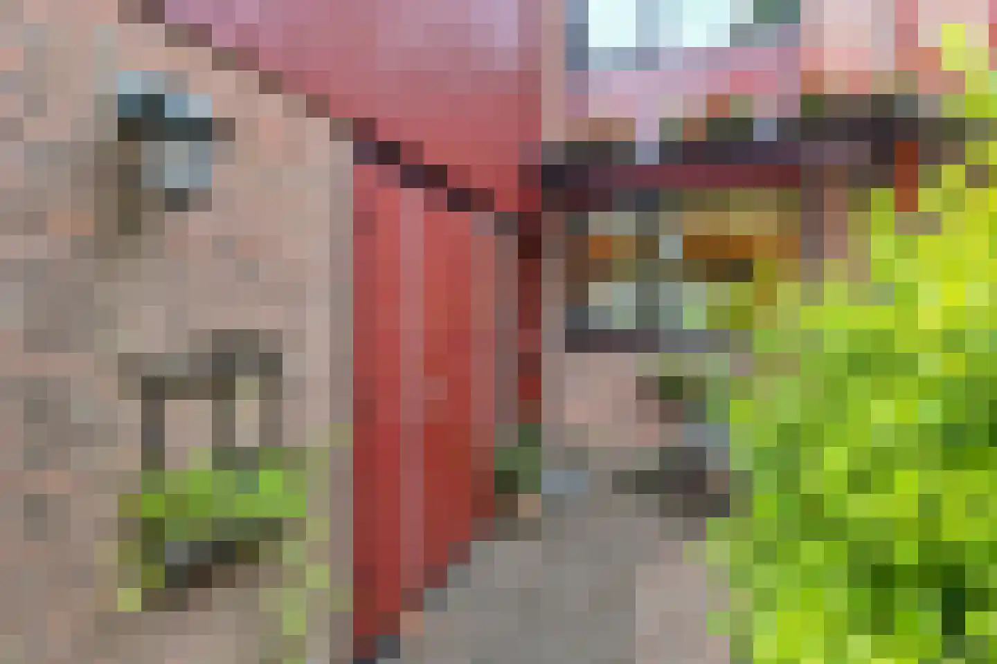 Fidelioschouw 13 Zoetermeer thumbnail 5