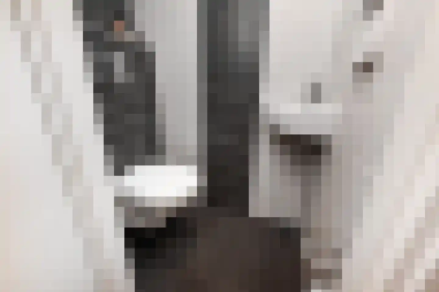 Fidelioschouw 13 Zoetermeer thumbnail 8