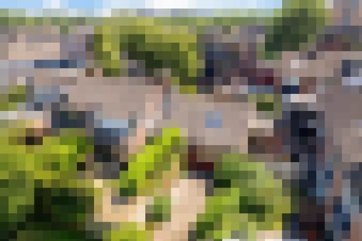 Fidelioschouw 4 Zoetermeer thumbnail 22