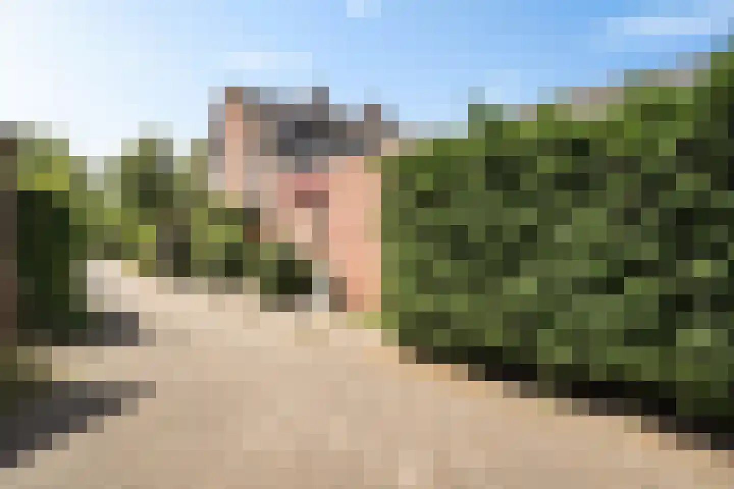 Fidelioschouw 4 Zoetermeer thumbnail 29