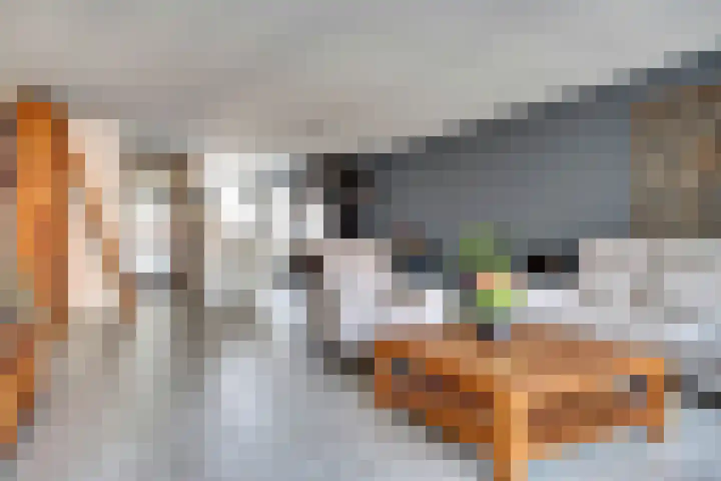 Fideliostraat 108 Alkmaar thumbnail 17