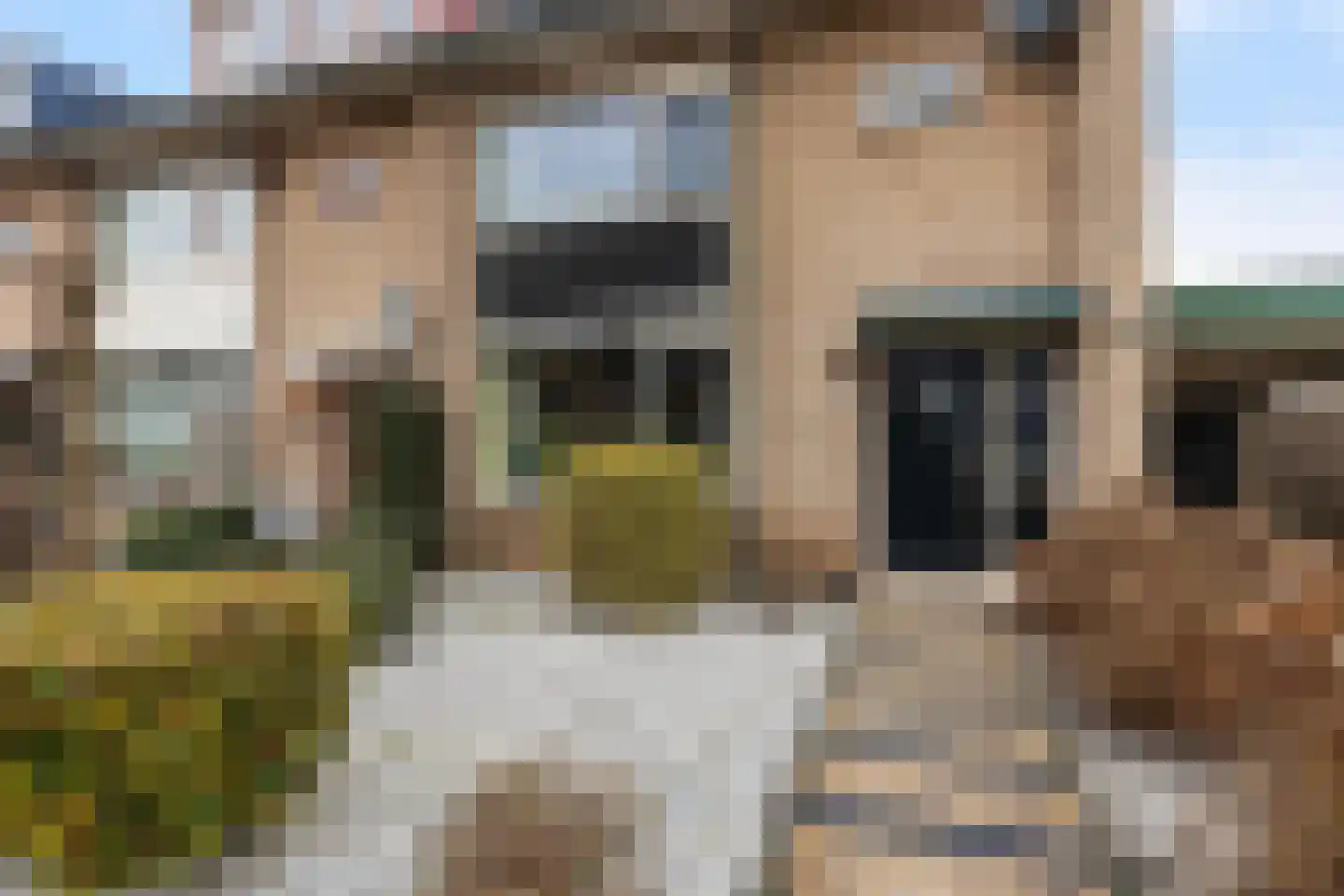 Fideliostraat 11 Apeldoorn thumbnail 5