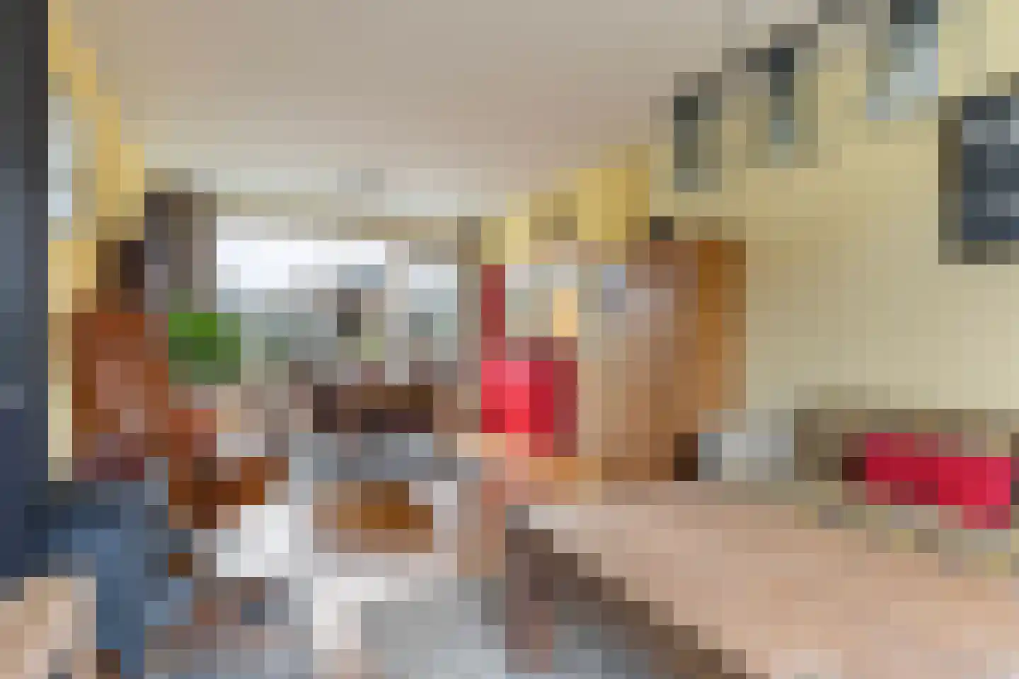 Fideliostraat 11 Apeldoorn thumbnail 7