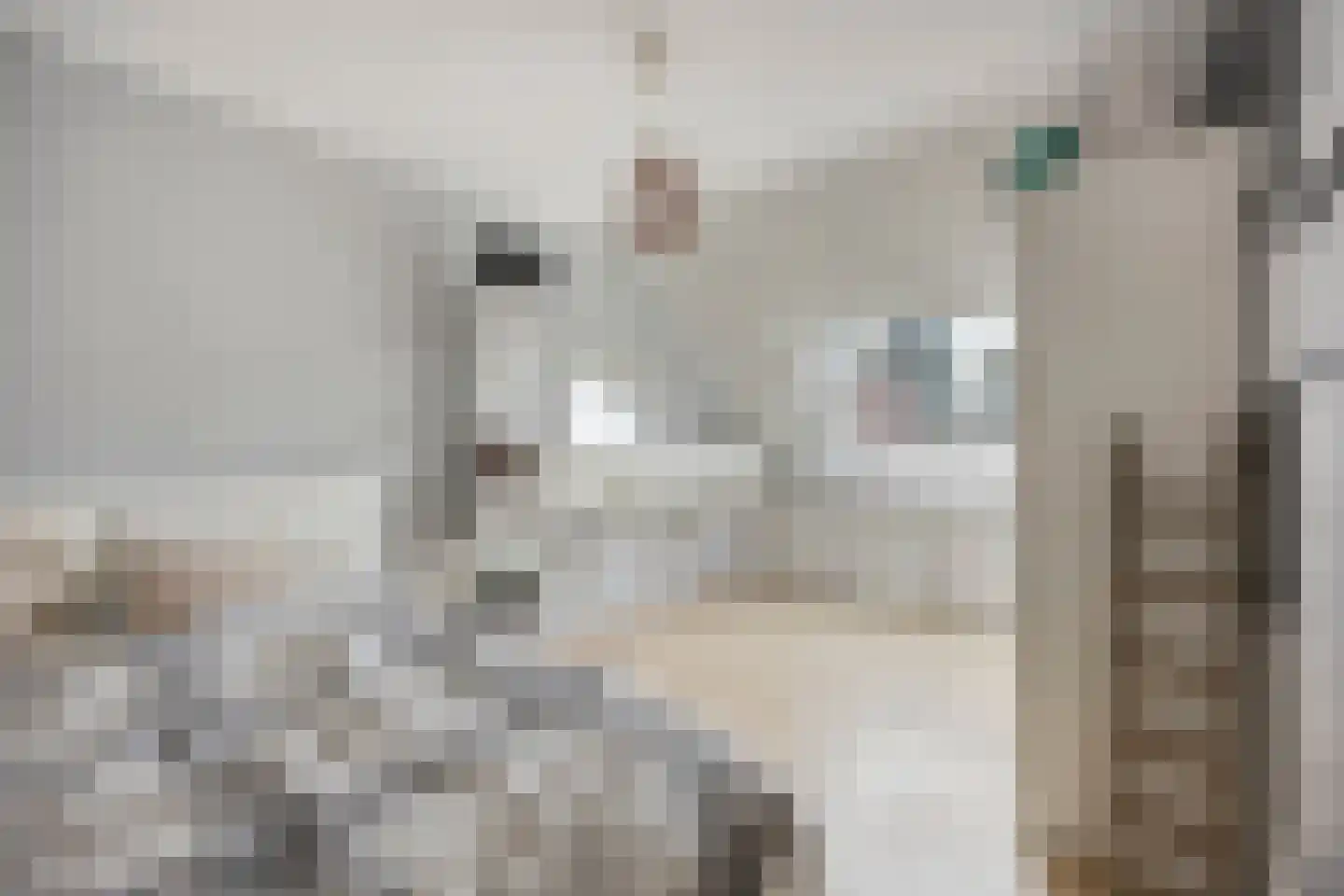 Fideliostraat 37 Alkmaar thumbnail 19