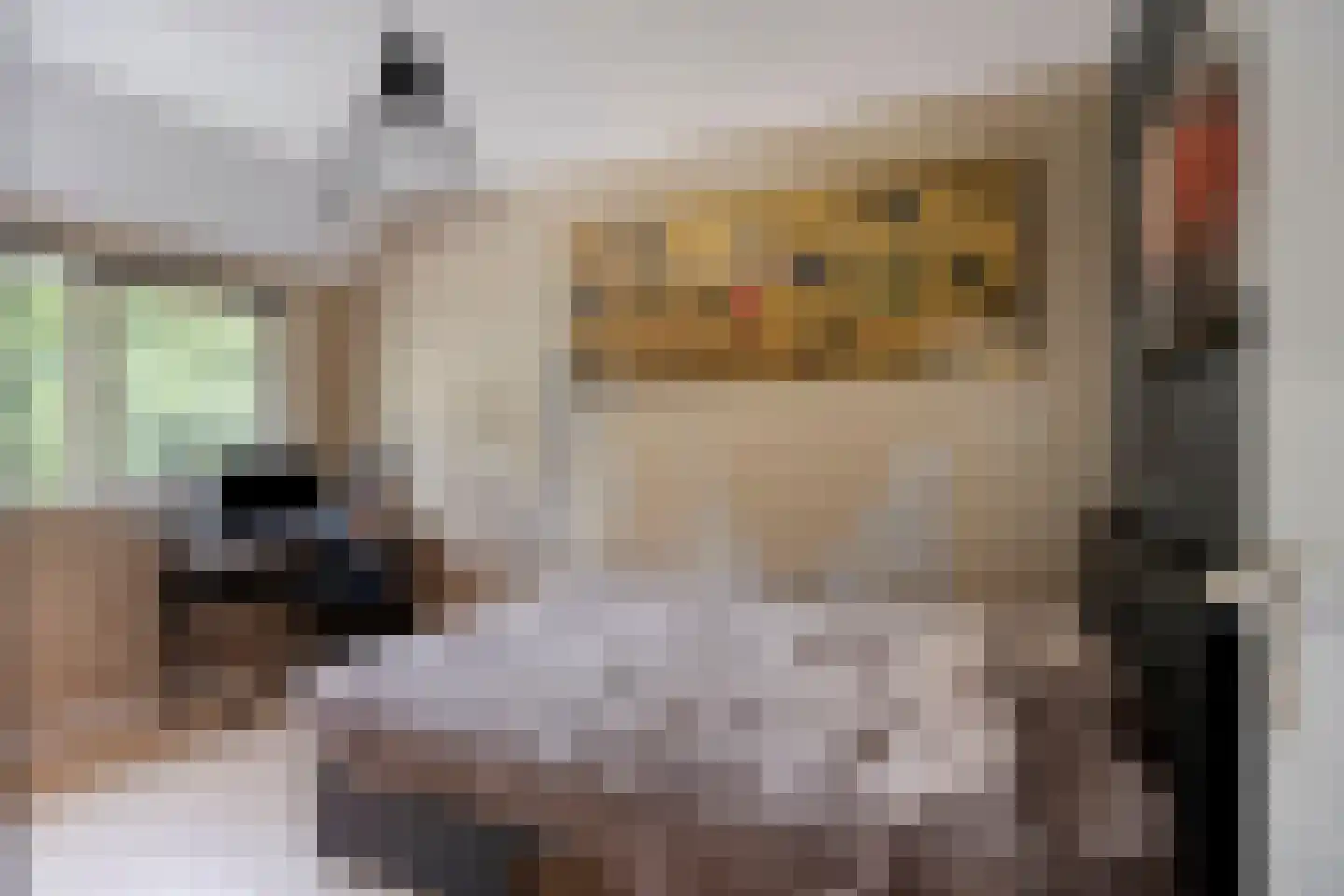 Fideliostraat 37 Alkmaar thumbnail 25