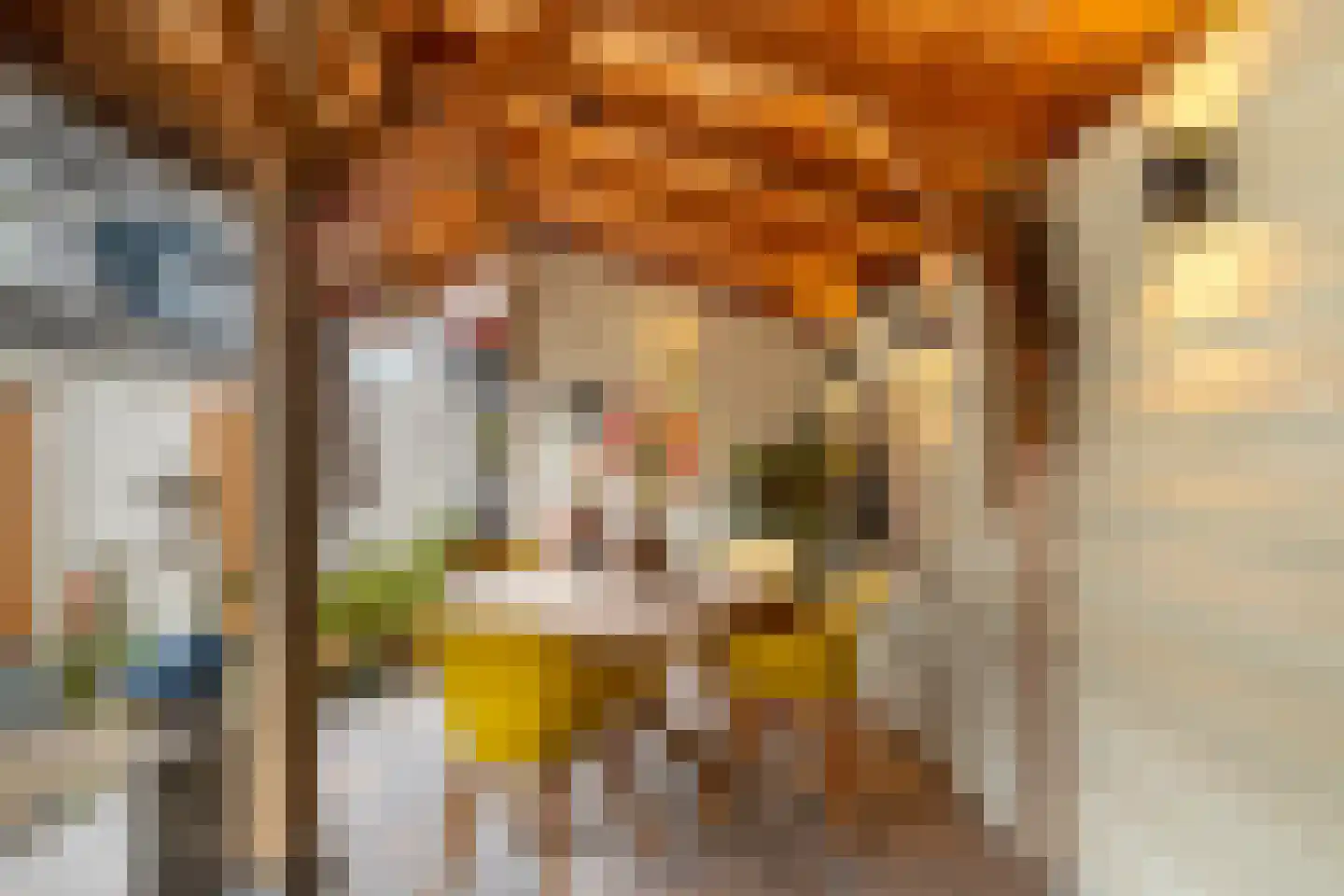 Fideliostraat 47 Alkmaar thumbnail 11