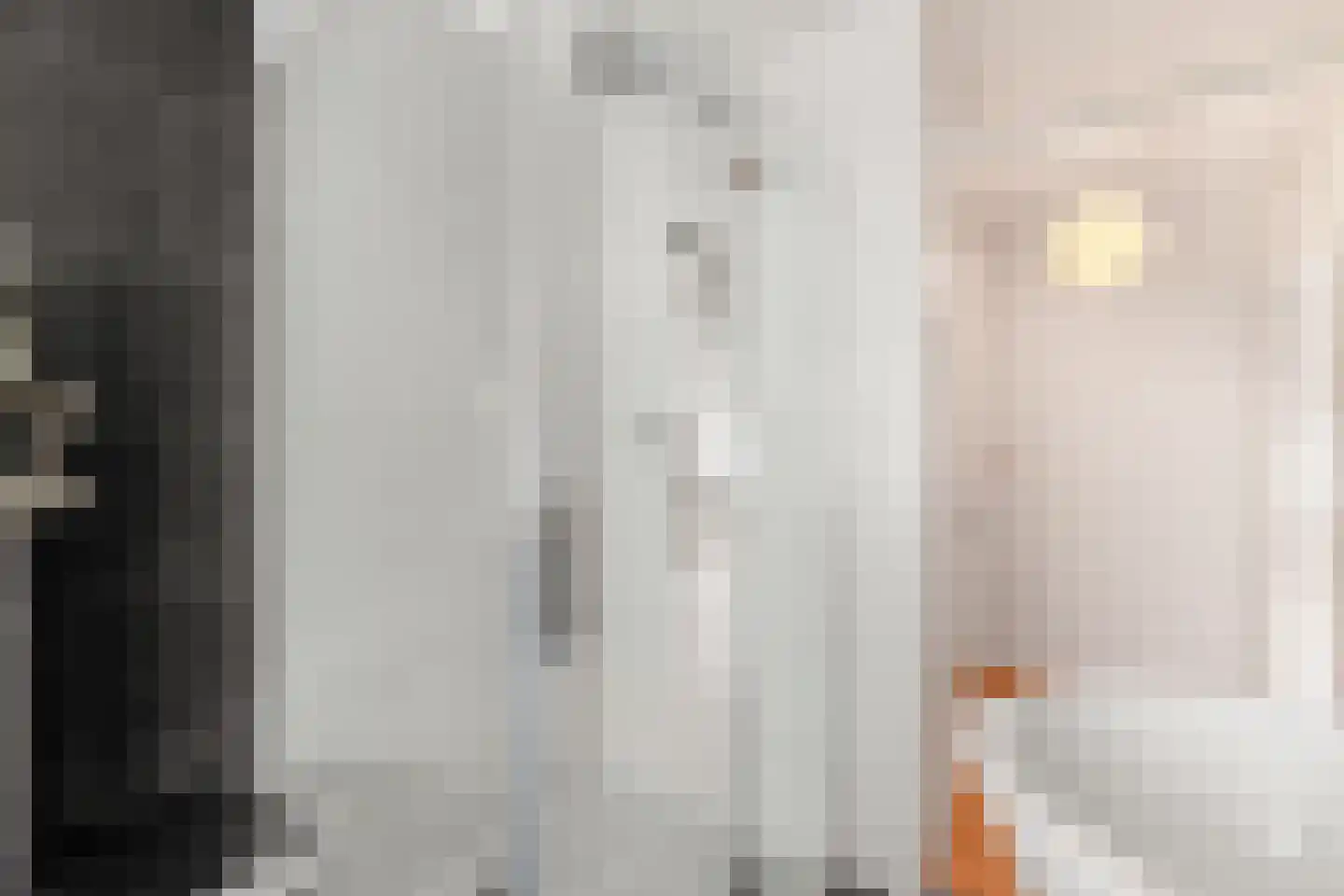 Fideliostraat 47 Alkmaar thumbnail 14