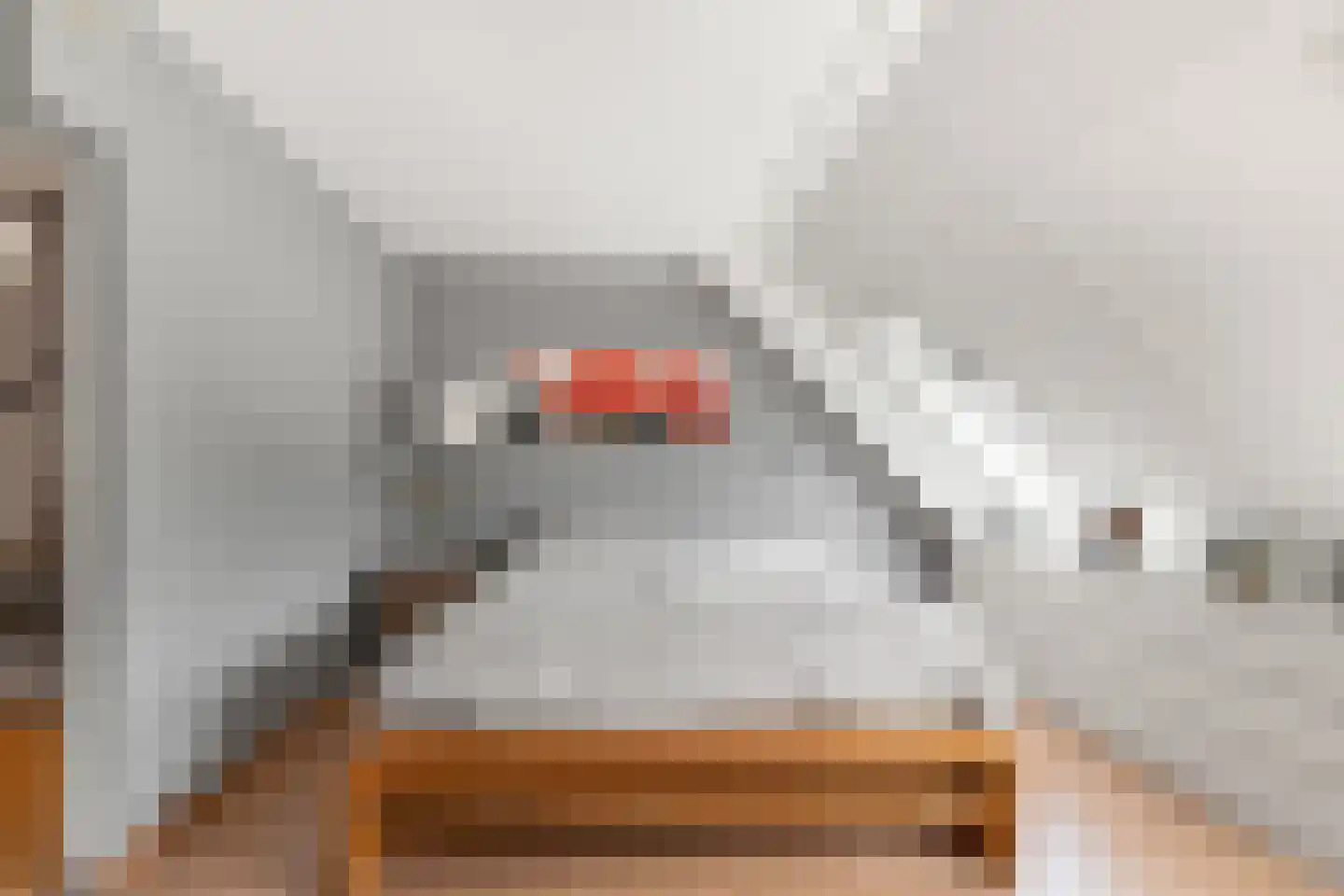 Fideliostraat 47 Alkmaar thumbnail 17