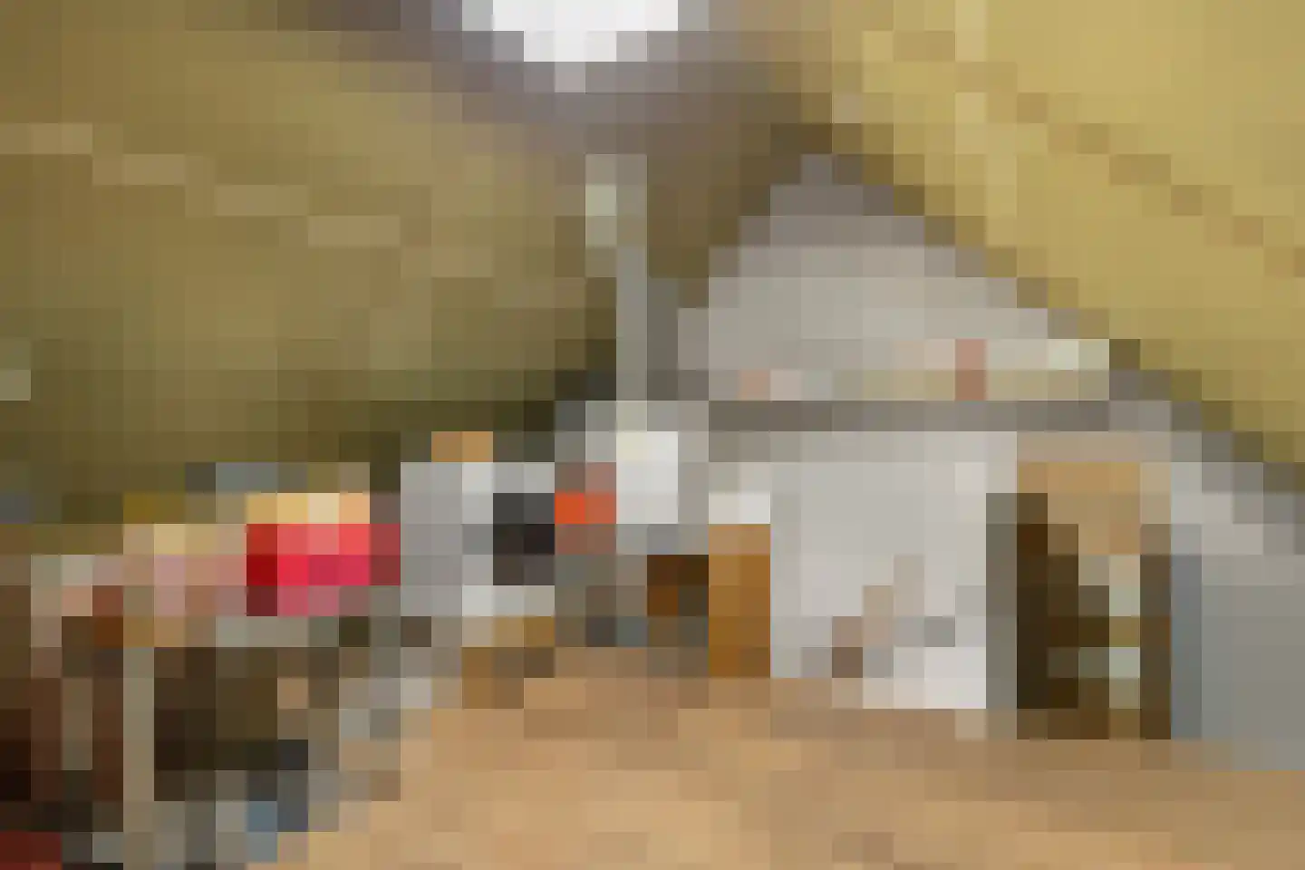 Fideliostraat 47 Alkmaar thumbnail 20