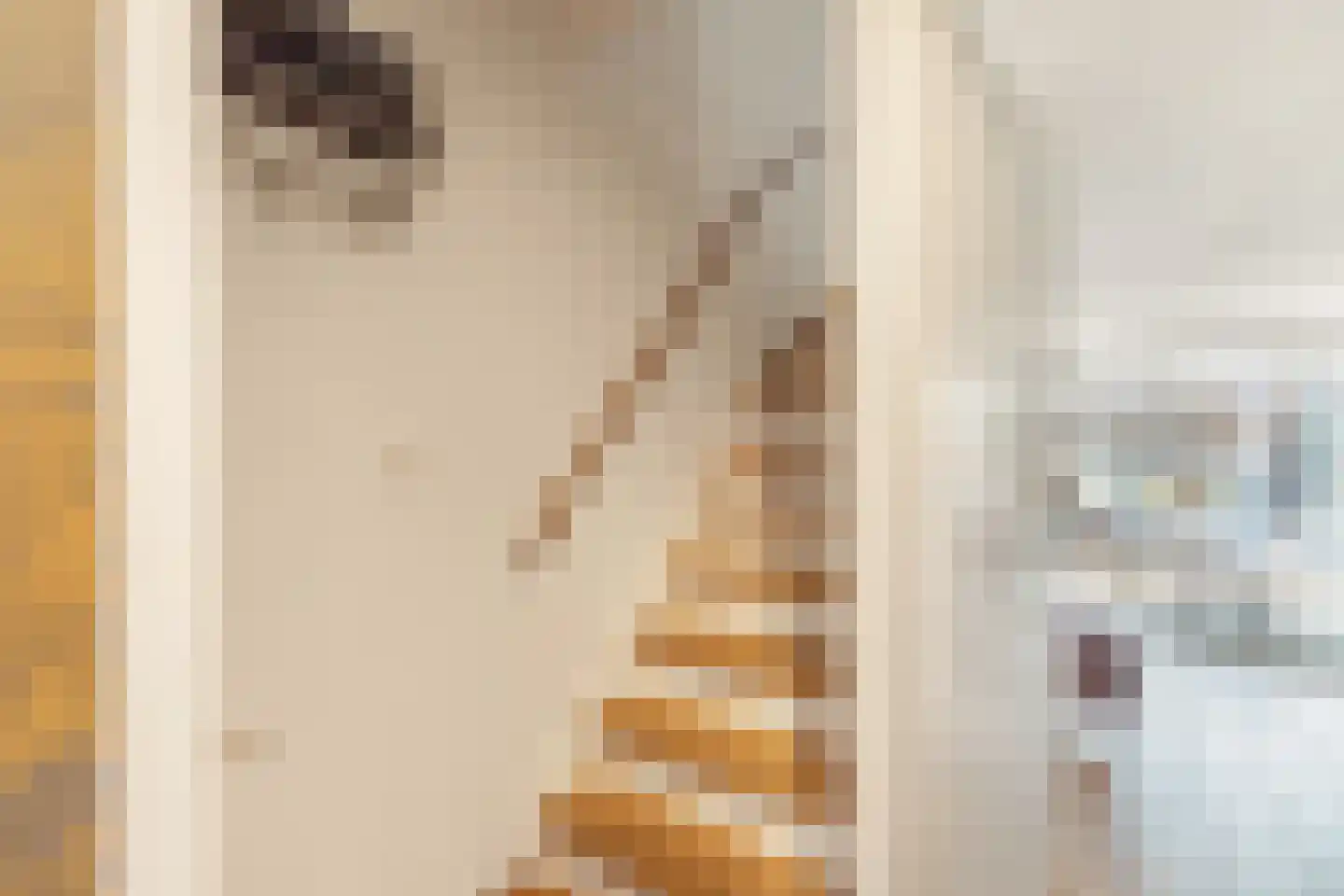 Fideliostraat 47 Alkmaar thumbnail 5