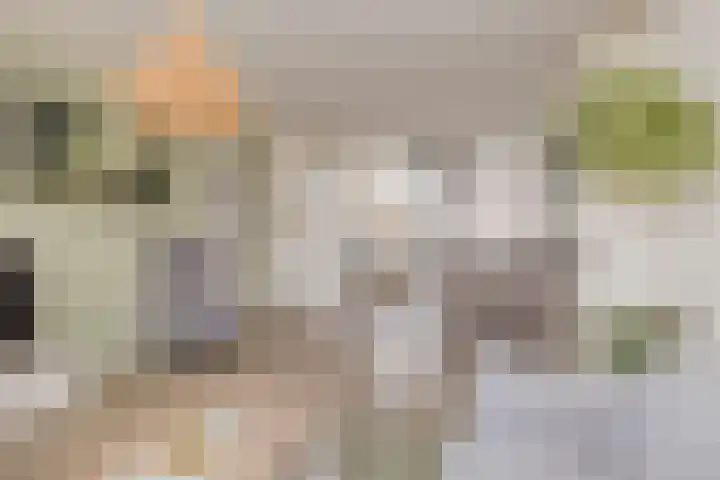 Fidelishof 15 IJmuiden thumbnail 14