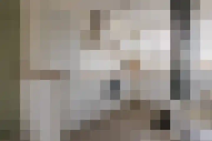 Fidelishof 15 IJmuiden thumbnail 4