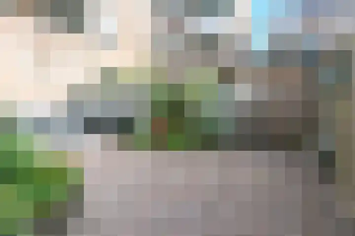 Fidelishof 48 IJmuiden thumbnail 22