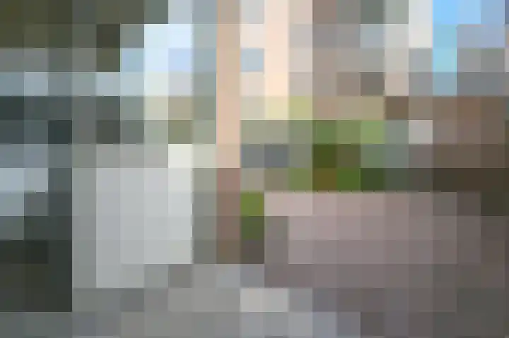 Fidelishof 48 IJmuiden thumbnail 28
