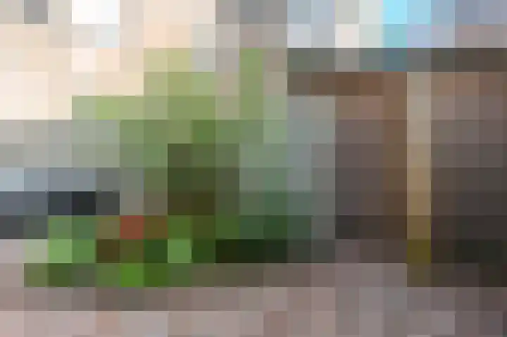 Fidelishof 48 IJmuiden thumbnail 30
