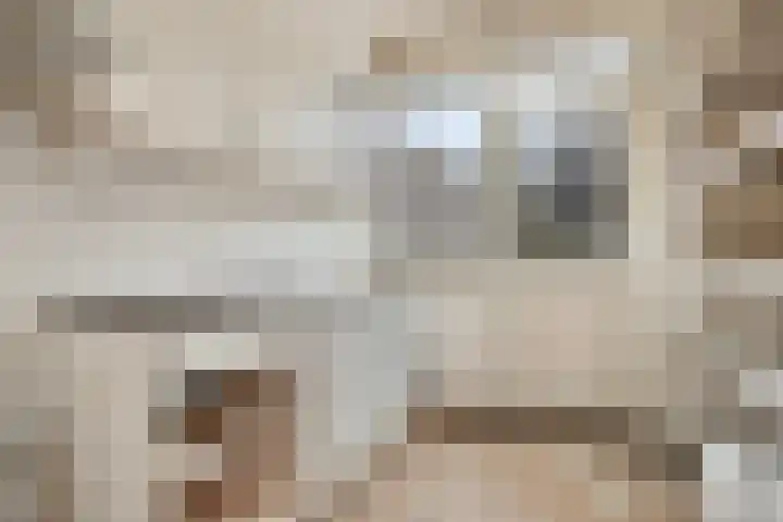 Fidessapad 1 Hoogvliet Rotterdam thumbnail 11