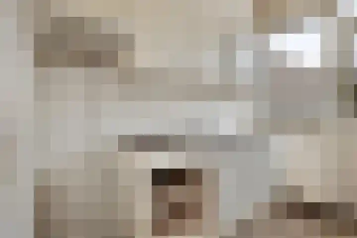Fidessapad 1 Hoogvliet Rotterdam thumbnail 13