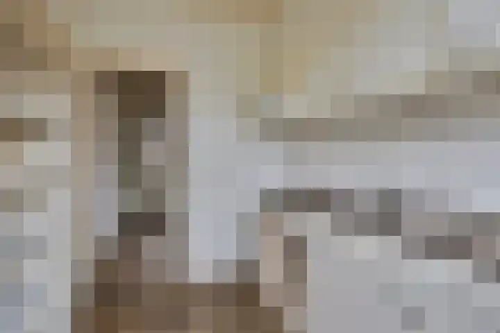 Fidessapad 1 Hoogvliet Rotterdam thumbnail 14