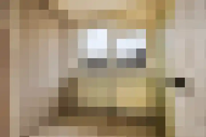 Fidessapad 1 Hoogvliet Rotterdam thumbnail 19