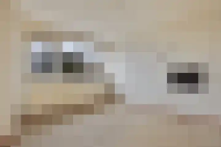 Fidessapad 1 Hoogvliet Rotterdam thumbnail 22