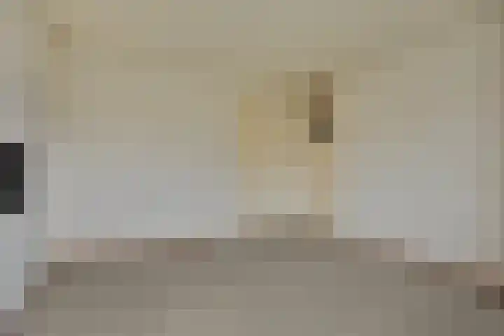 Fidessapad 1 Hoogvliet Rotterdam thumbnail 23
