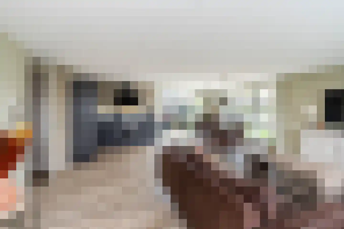 Fie Carelsenlaan 10 Den Haag thumbnail 11