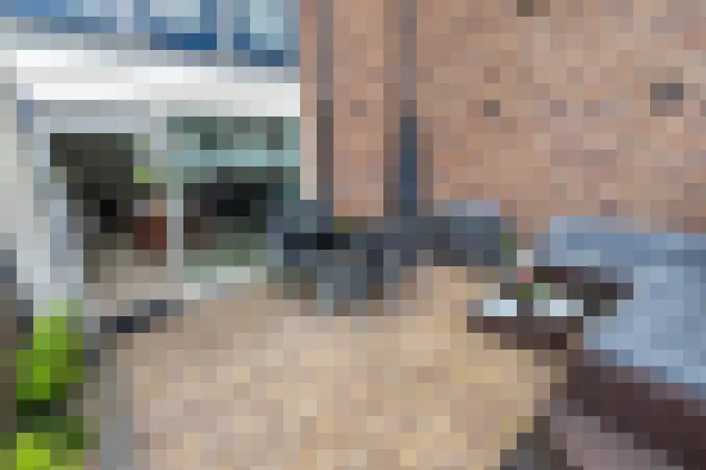 Fie Carelsenlaan 10 Den Haag thumbnail 14
